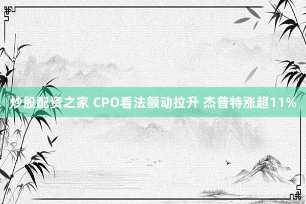 炒股配资之家 CPO看法颤动拉升 杰普特涨超11%