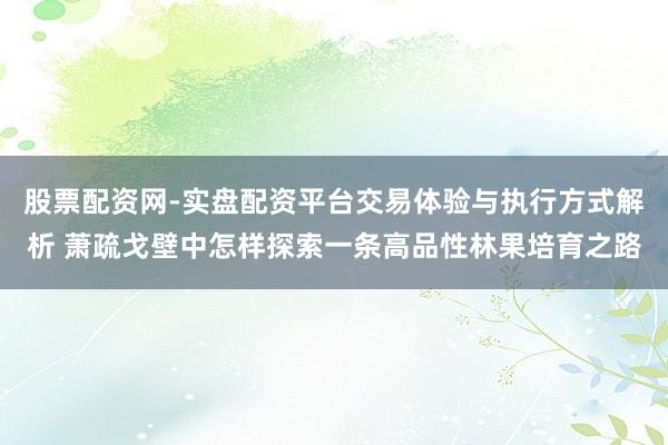 股票配资网-实盘配资平台交易体验与执行方式解析 萧疏戈壁中怎样探索一条高品性林果培育之路